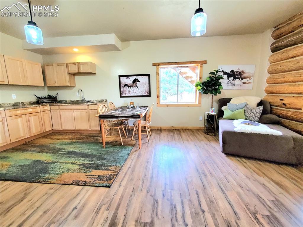 1226 E Path Cotopaxi, CO 81223 - Photo 28 of 49 Lower level family room