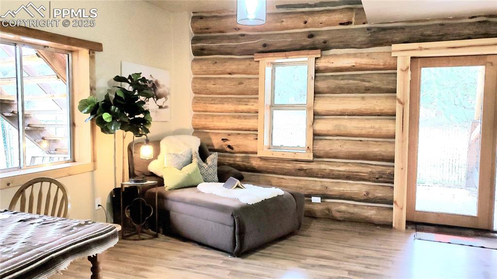 1226 E Path Cotopaxi, CO 81223 - Photo 29 of 49 lower level family room with walk out