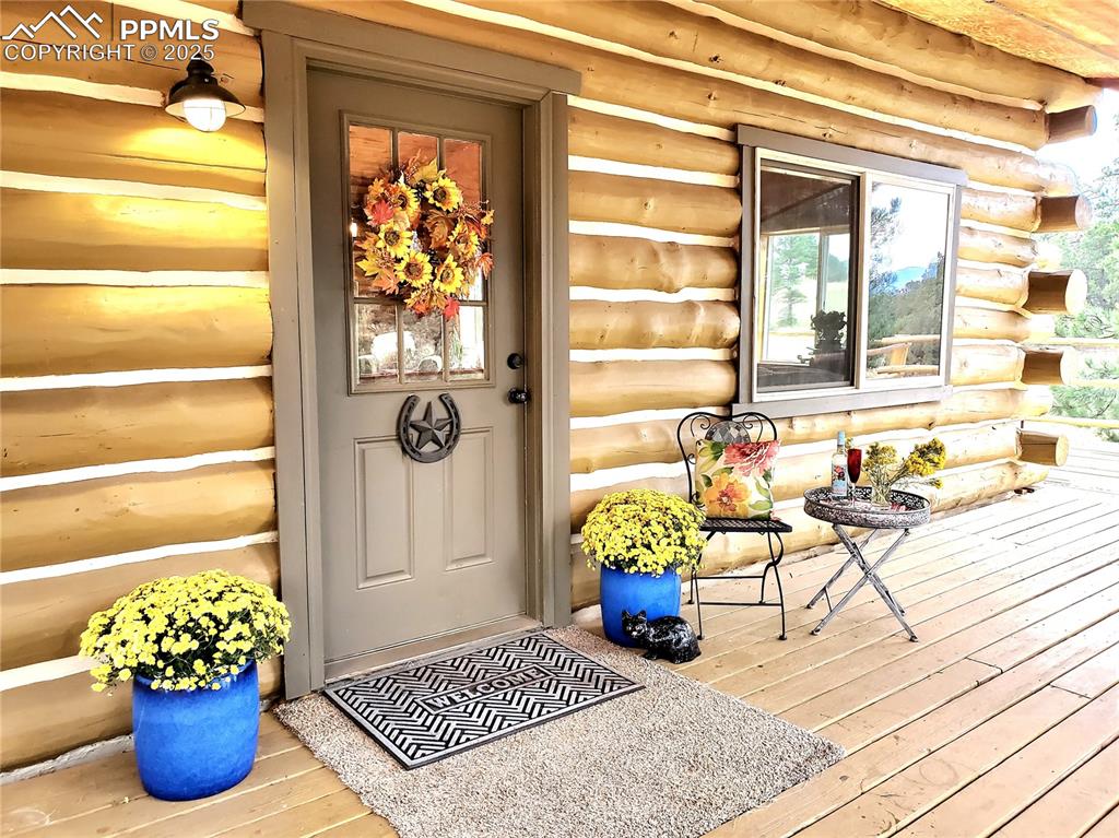 1226 E Path Cotopaxi, CO 81223 - Photo 3 of 49
