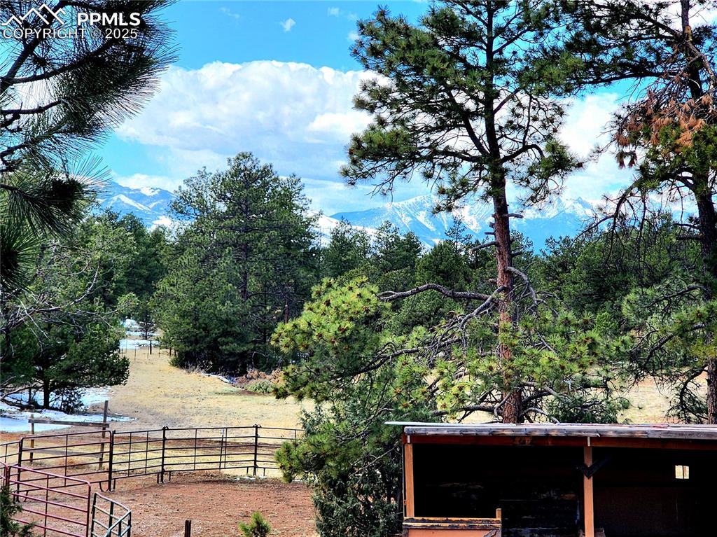 1226 E Path Cotopaxi, CO 81223 - Photo 40 of 49 Beautiful mountain views from the deck and over horse run in sheds