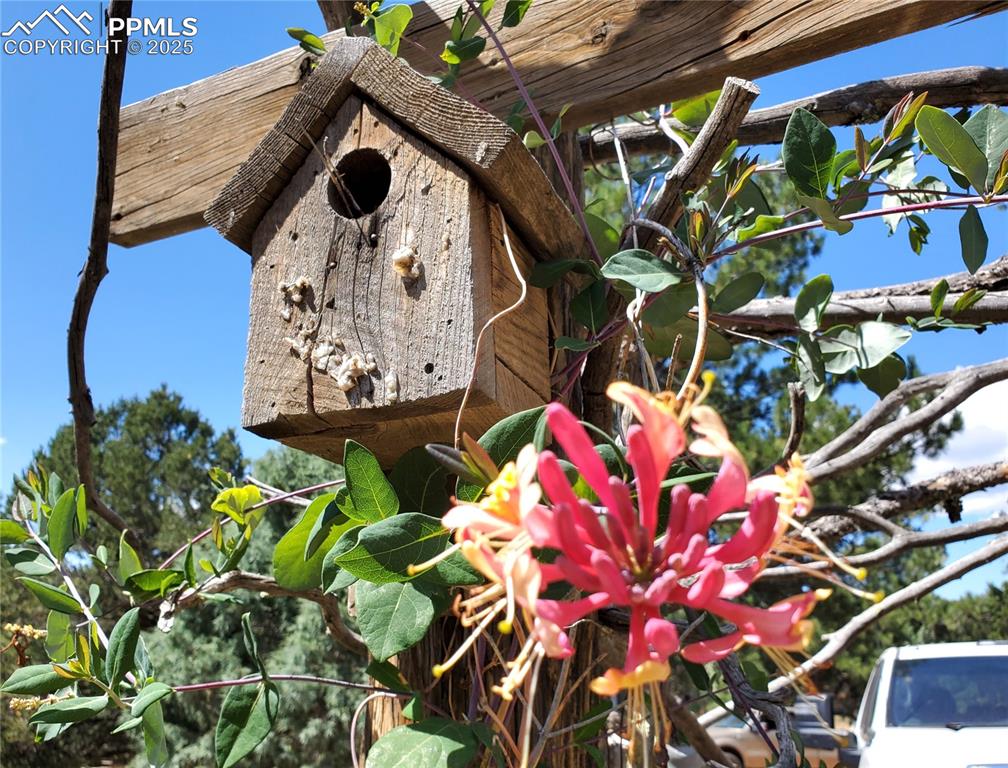 1226 E Path Cotopaxi, CO 81223 - Photo 45 of 49 Beautiful perrenials in the courtyard garden