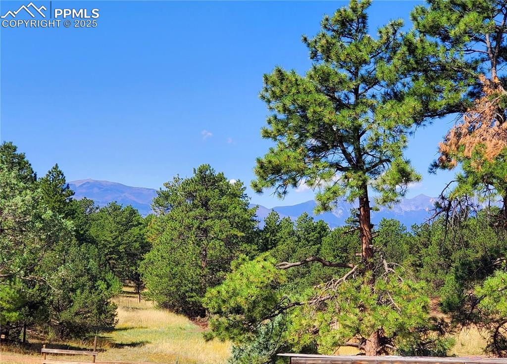 1226 E Path Cotopaxi, CO 81223 - Photo 9 of 49 Captivating mountain views from the deck, just over the top of the horse run in sheds