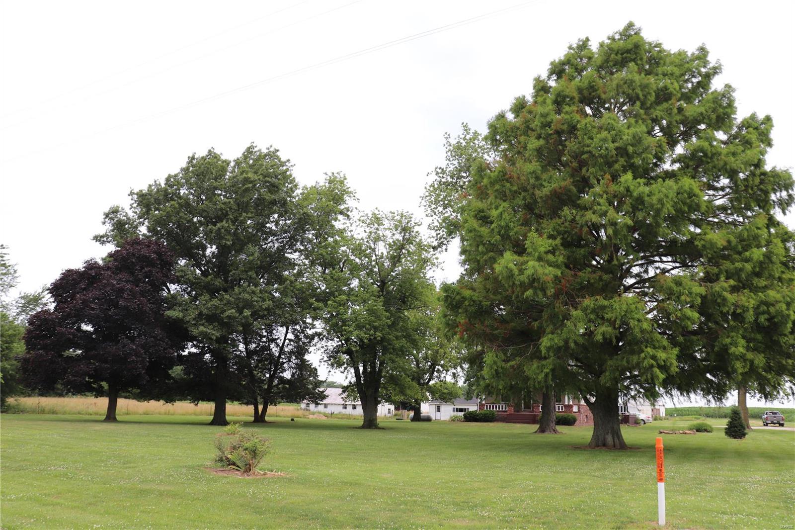 13435 Silver Creek Road New Douglas, IL 62074 - Photo 30 of 58