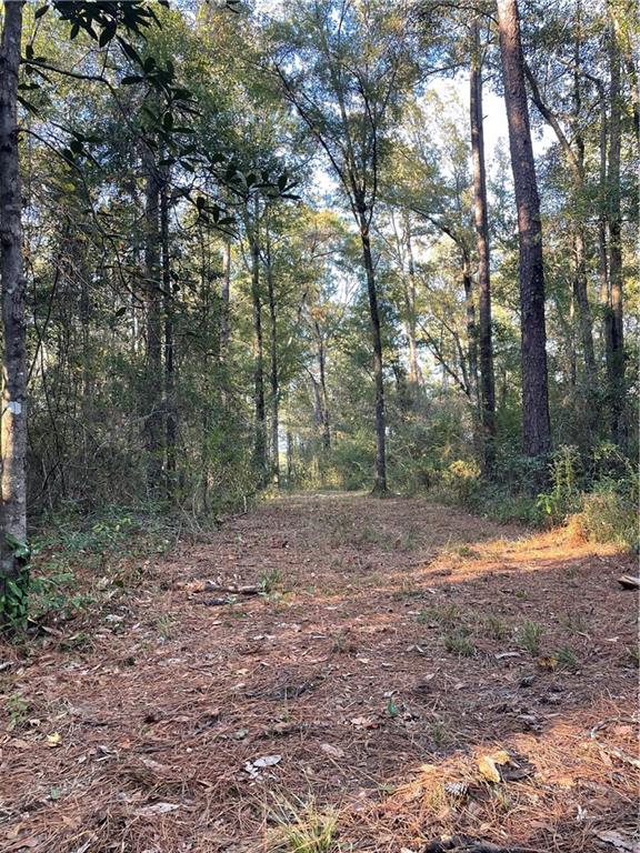 Tbd Harvey Lavigne Road Ponchatoula, LA 70454 - Photo 2 of 8