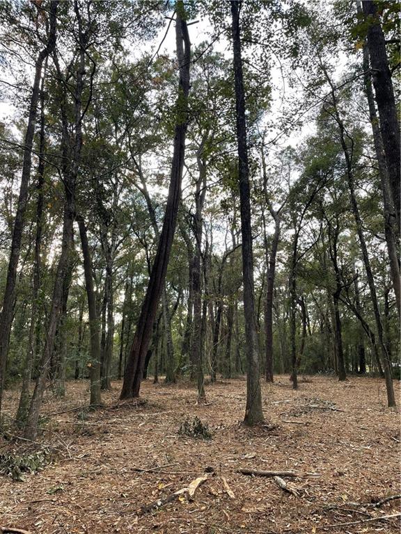 Tbd Harvey Lavigne Road Ponchatoula, LA 70454 - Photo 3 of 8