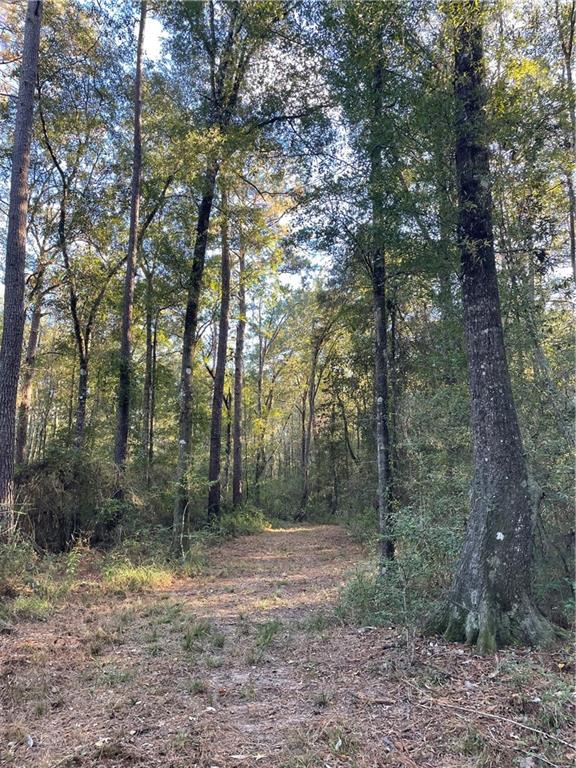 Tbd Harvey Lavigne Road Ponchatoula, LA 70454 - Photo 4 of 8