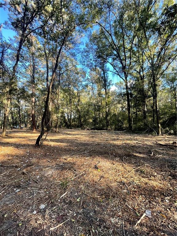 Tbd Harvey Lavigne Road Ponchatoula, LA 70454 - Photo 5 of 8
