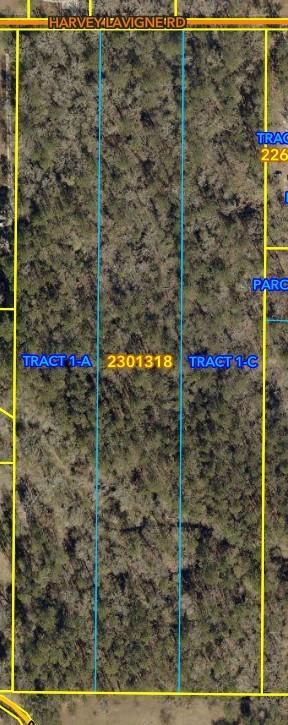 Tbd Harvey Lavigne Road Ponchatoula, LA 70454 - Photo 8 of 8