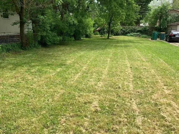 a view of a green yard with large trees