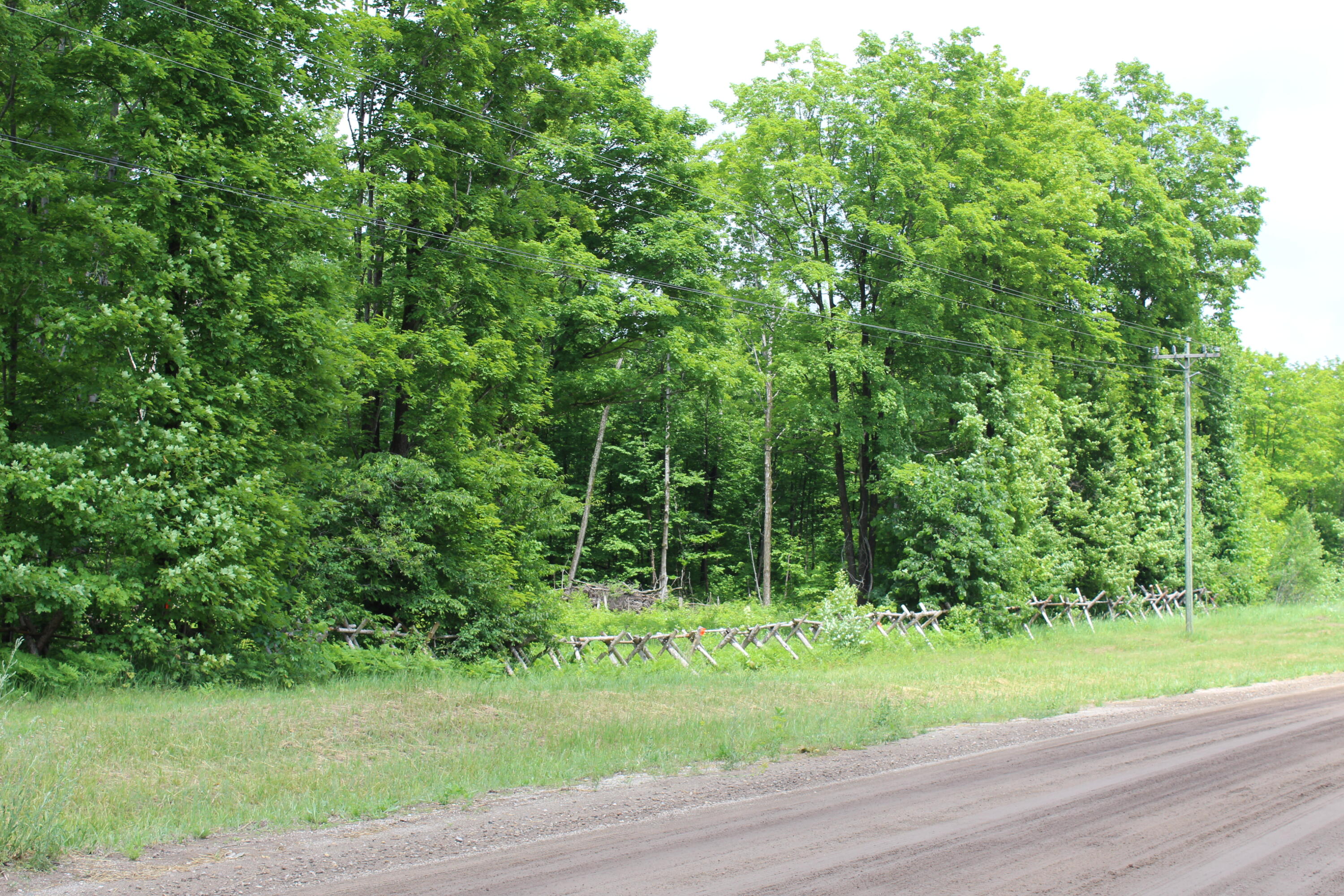 0 Soderquist Road Mancelona, MI 49659 - Photo 7 of 12 IMG_2428