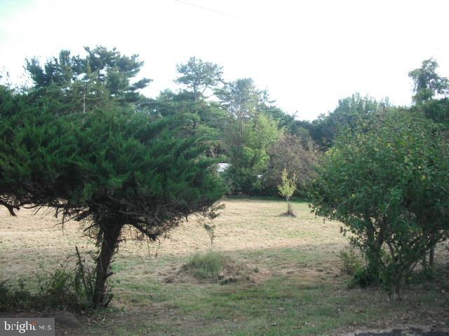 211 Arneys Mt Road Pemberton, NJ 08068 - Photo 3 of 33