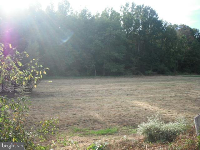 211 Arneys Mt Road Pemberton, NJ 08068 - Photo 4 of 33