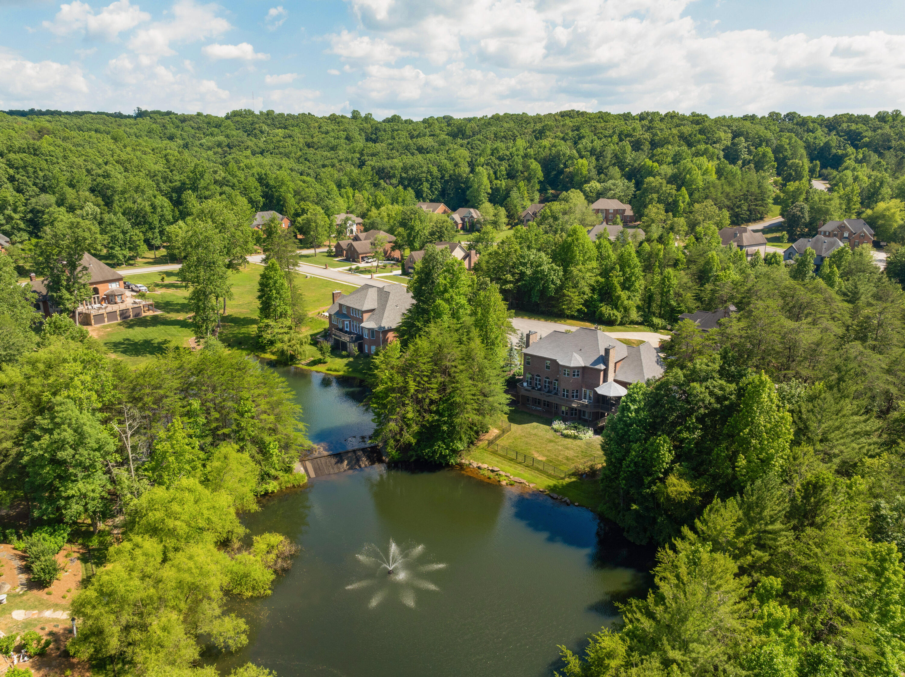8 Ives Lake Road Signal Mountain, TN 37377 - Photo 62 of 70 07 - 8 Ives Lake - Drone
