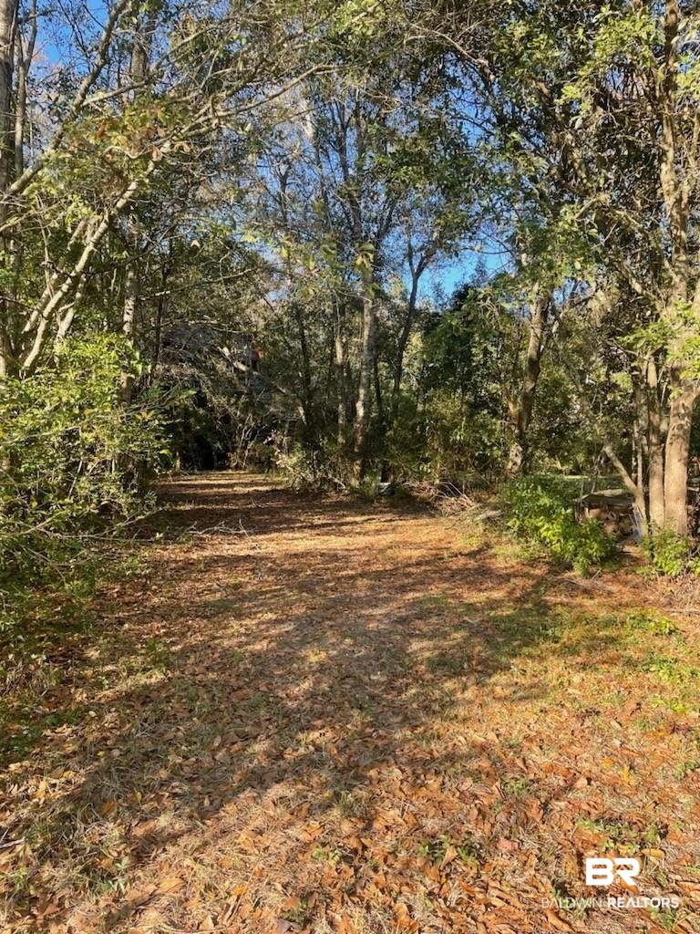 10501 Tillman Lane Foley, AL 36535 - Photo 3 of 9