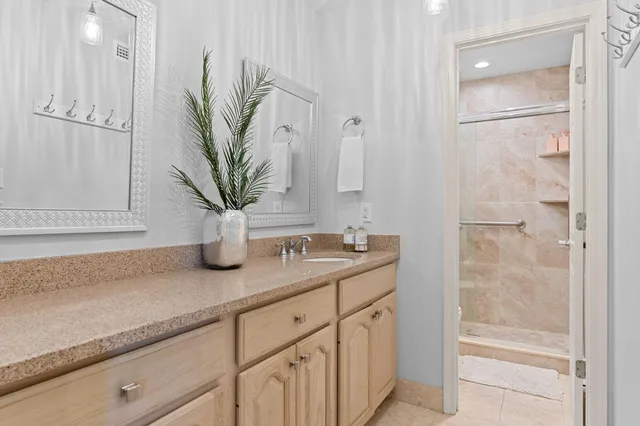 a bathroom with a potted plant on the counter and mirror