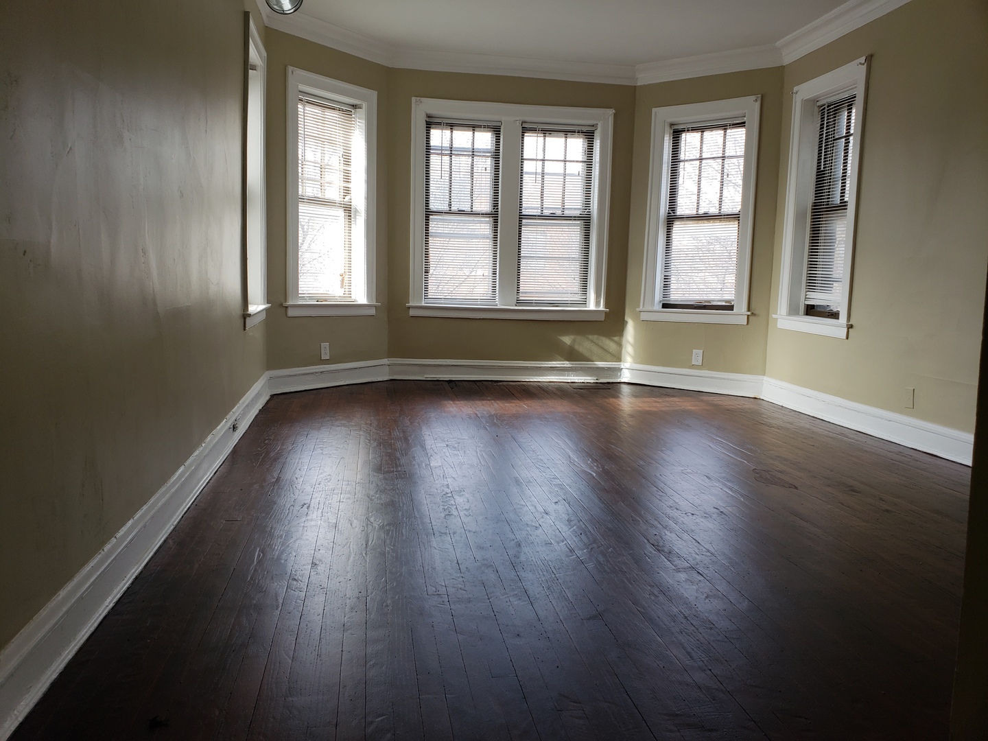 936 East 80th Street Chicago, IL 60619 - Photo 2 of 5