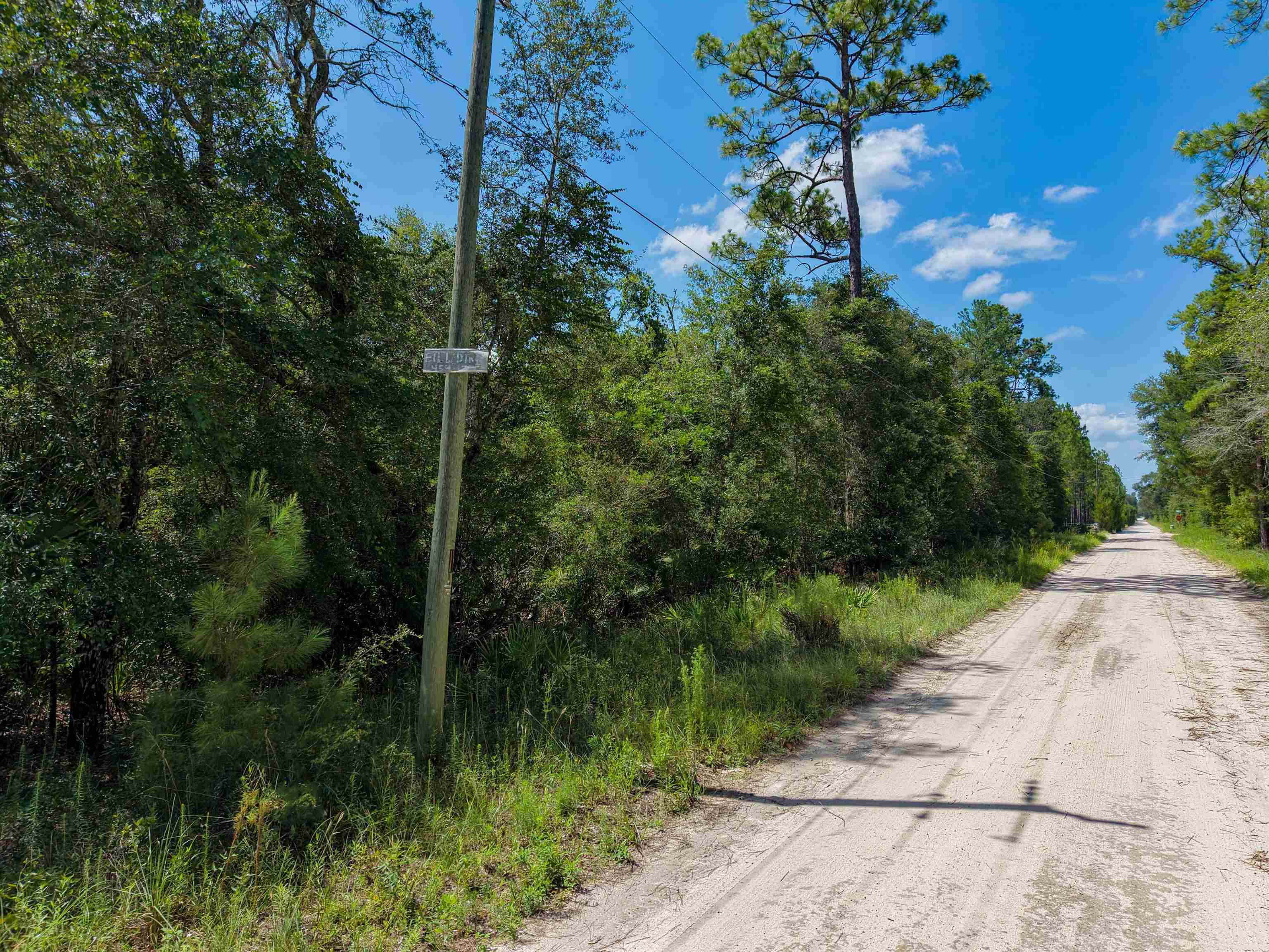 0 Southeast Leopard Road Branford, FL 32008 - Photo 12 of 23 Gallery Image 12