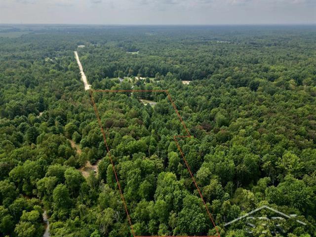 1633 South Dickenson Road Shepherd, MI 48883 - Photo 2 of 33