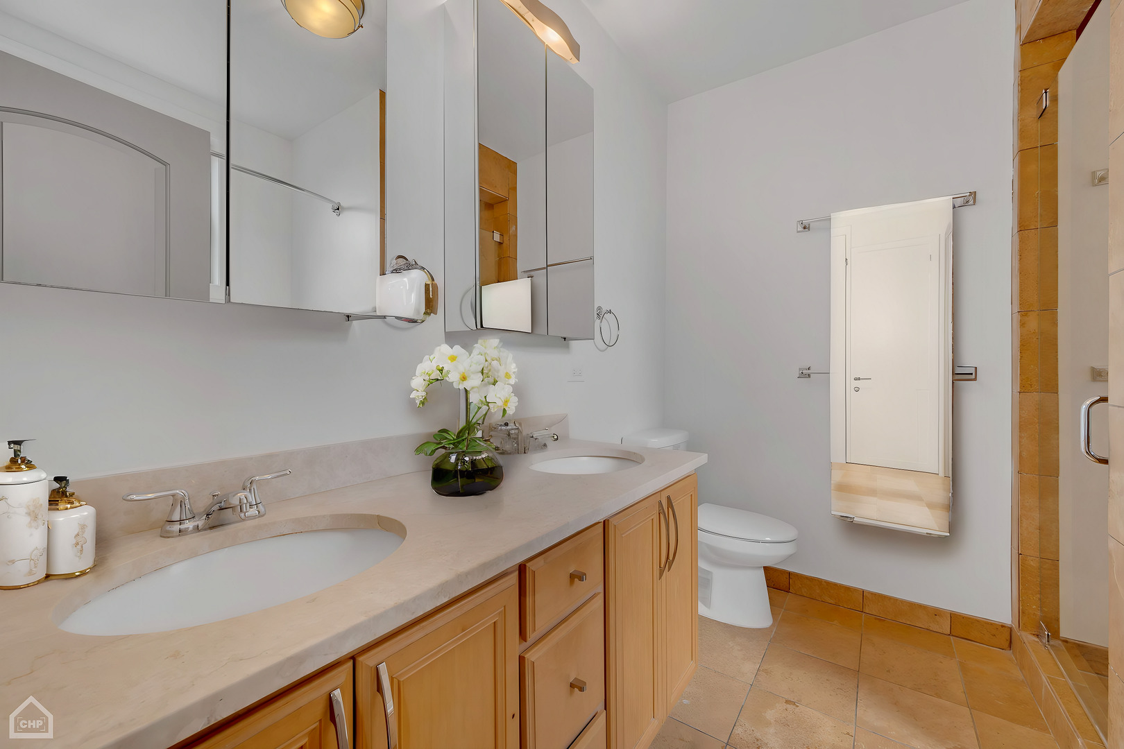 4235 South Calumet Avenue Chicago, IL 60653 - Photo 34 of 47 a bathroom with a sink a toilet and mirror
