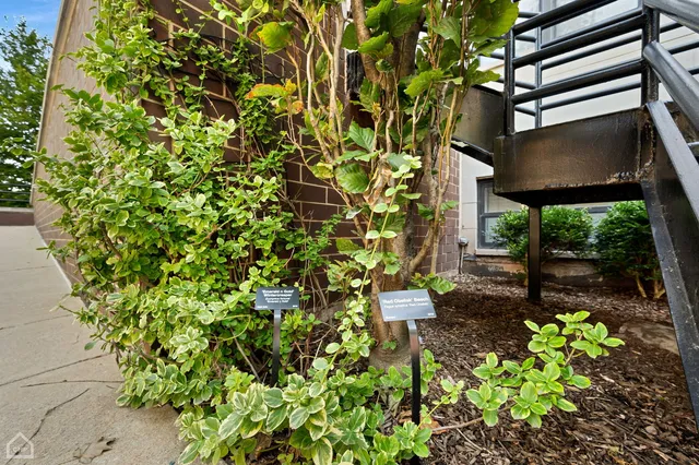 $2,538,000 | 4235 South Calumet Avenue, Chicago, IL 60653