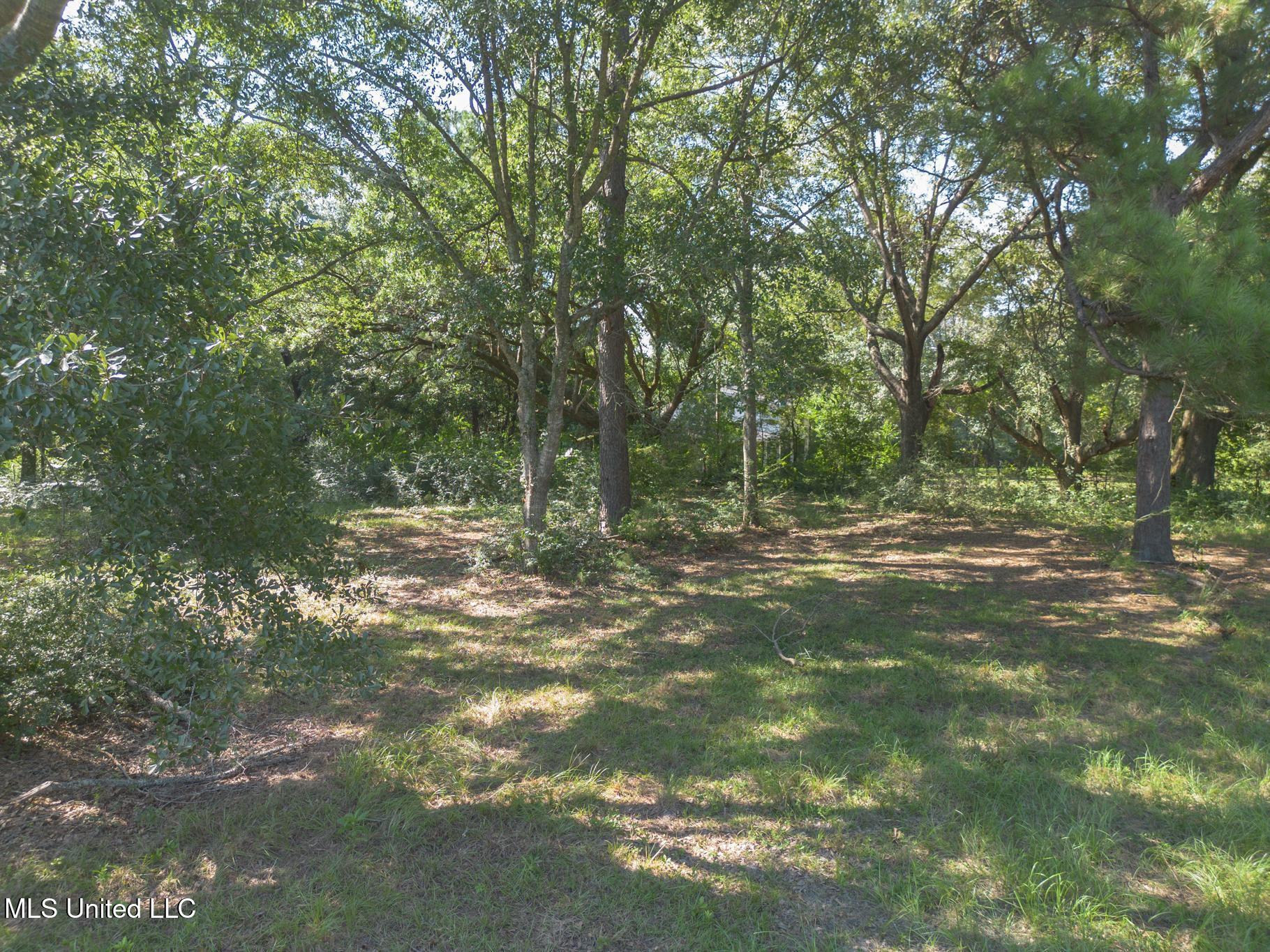 14160 John Clark Road Gulfport, MS 39503 - Photo 24 of 29 2 acre yard