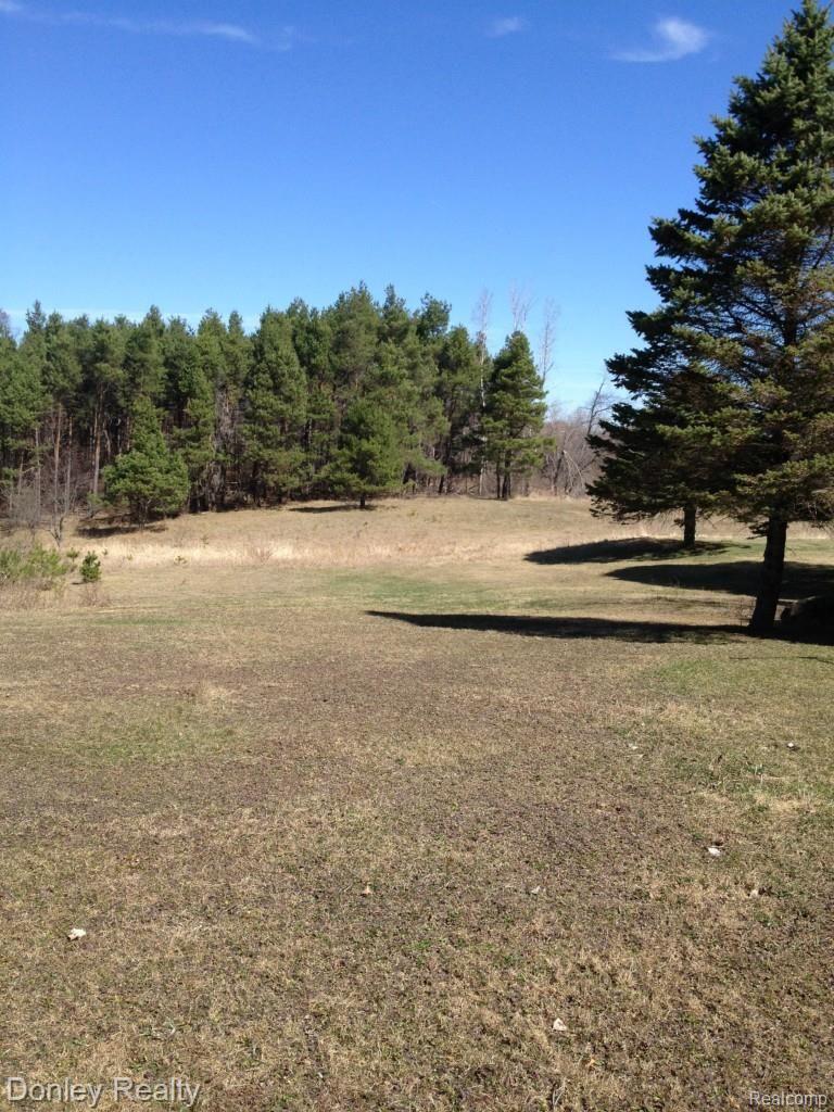5333 Snover Road Clifford, MI 48727 - Photo 12 of 44 IMG_0134.jpg