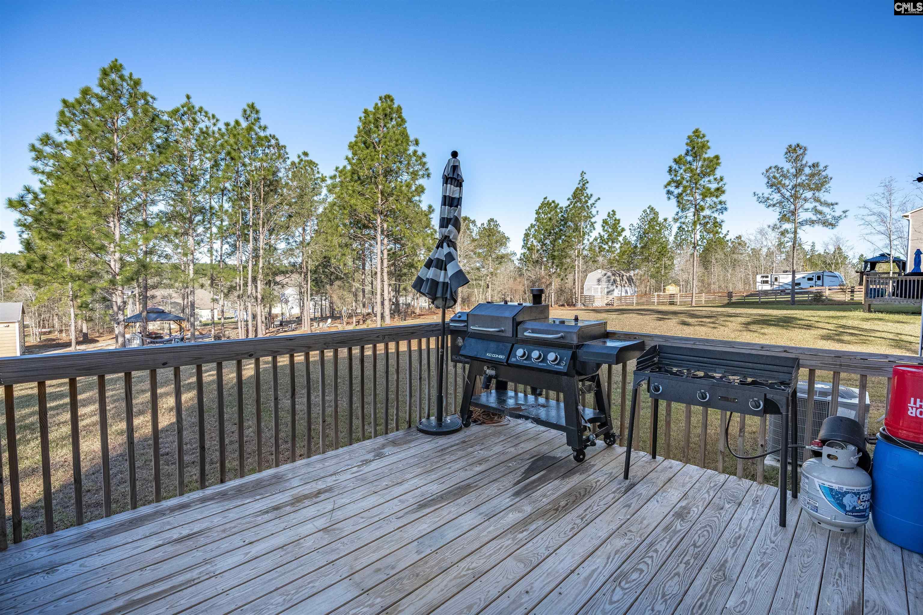 652 Rose Quartz Lane Lexington, SC 29073 - Photo 40 of 51