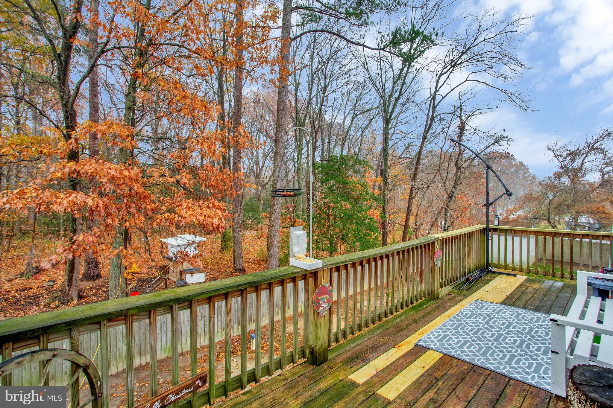 40077 Big Chestnut Road Leonardtown, MD 20650 - Photo 38 of 46