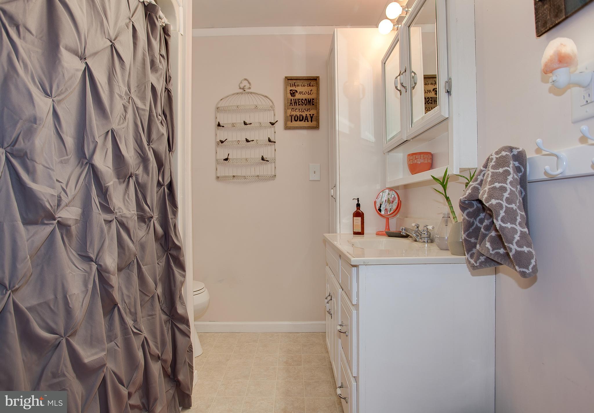 320 Rife Street Middletown, PA 17057 - Photo 10 of 26 Gallery Image 10