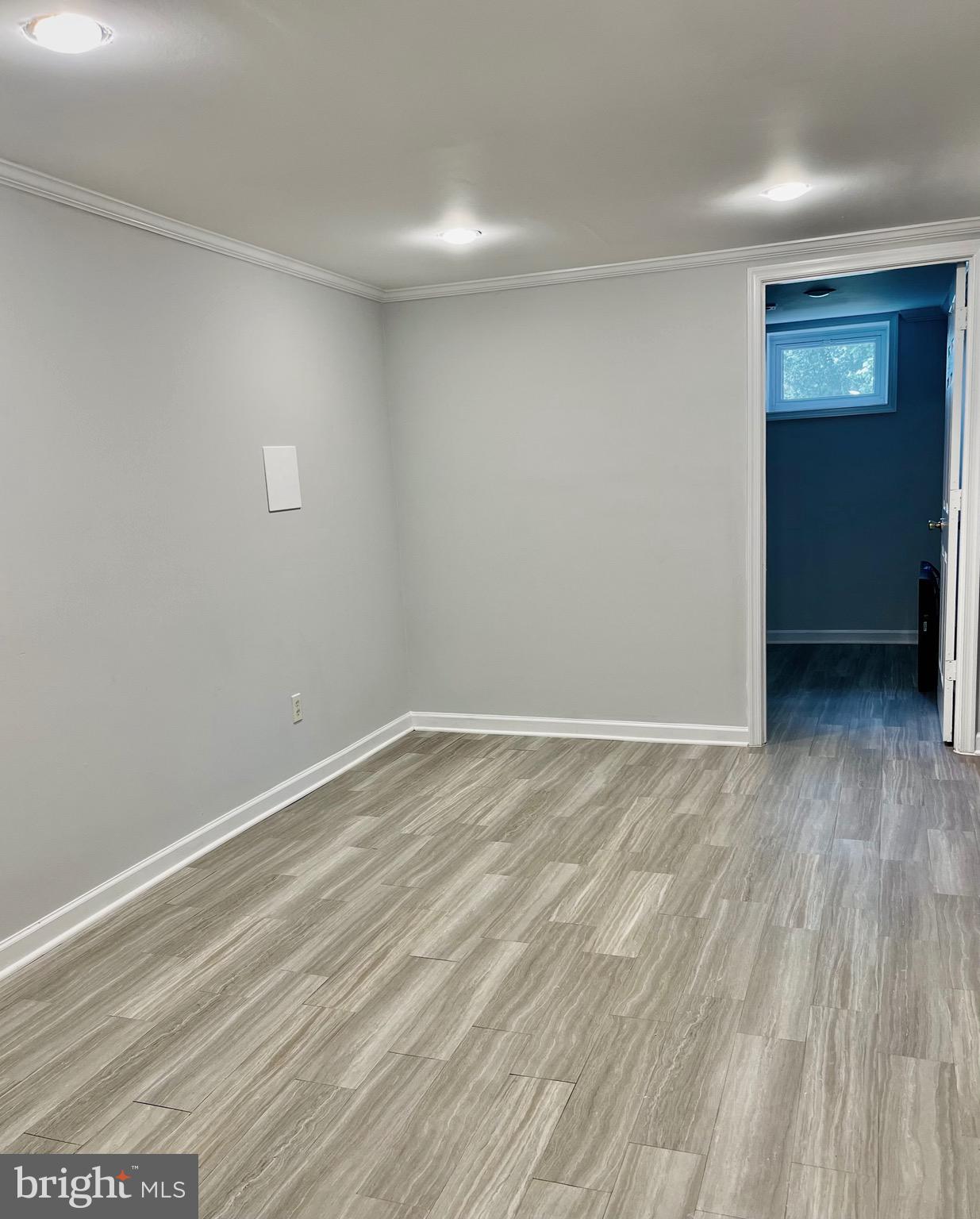 24 Cedarmere Road Owings Mills, MD 21117 - Photo 6 of 10 Lower Level