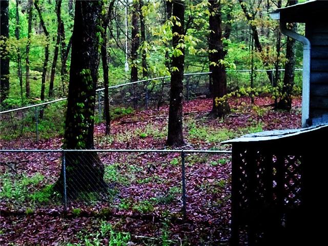 1345 Ingman Road Tracy City, TN 37387 - Photo 14 of 19 Perfect fenced yard for children and pets