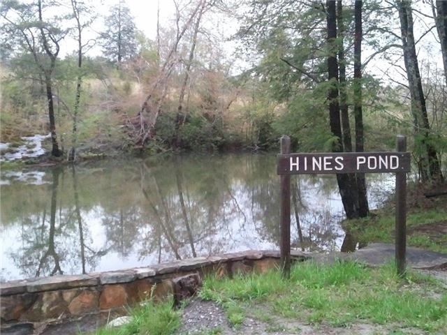 1345 Ingman Road Tracy City, TN 37387 - Photo 15 of 19 Beautiful Hines Pond is nearby