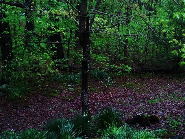 1345 Ingman Road Tracy City, TN 37387 - Photo 16 of 19 Peaceful woods from the deck and screened porch