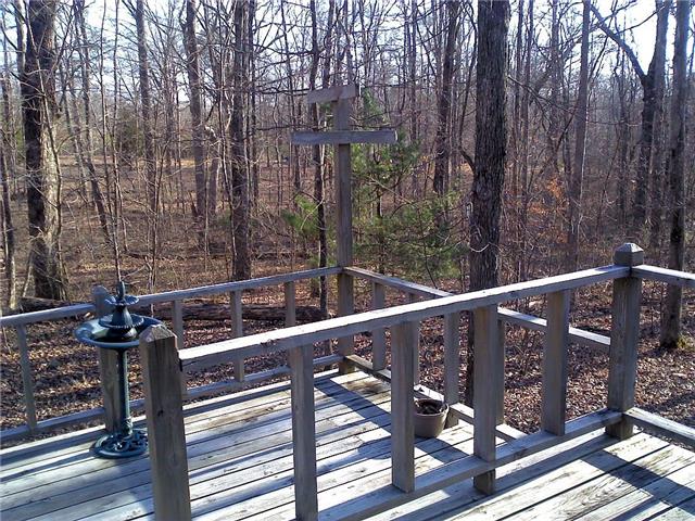 1345 Ingman Road Tracy City, TN 37387 - Photo 6 of 19 Bird watching never gets tiring!
