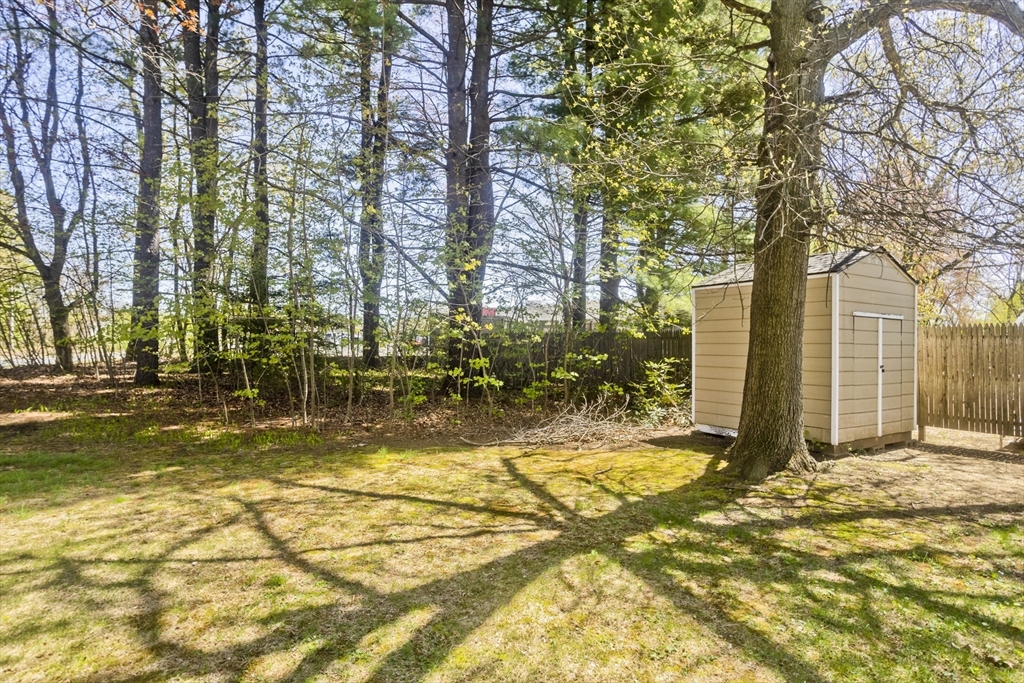 460 James Street Chicopee, MA 01020 - Photo 33 of 34 a view of yard along with trees