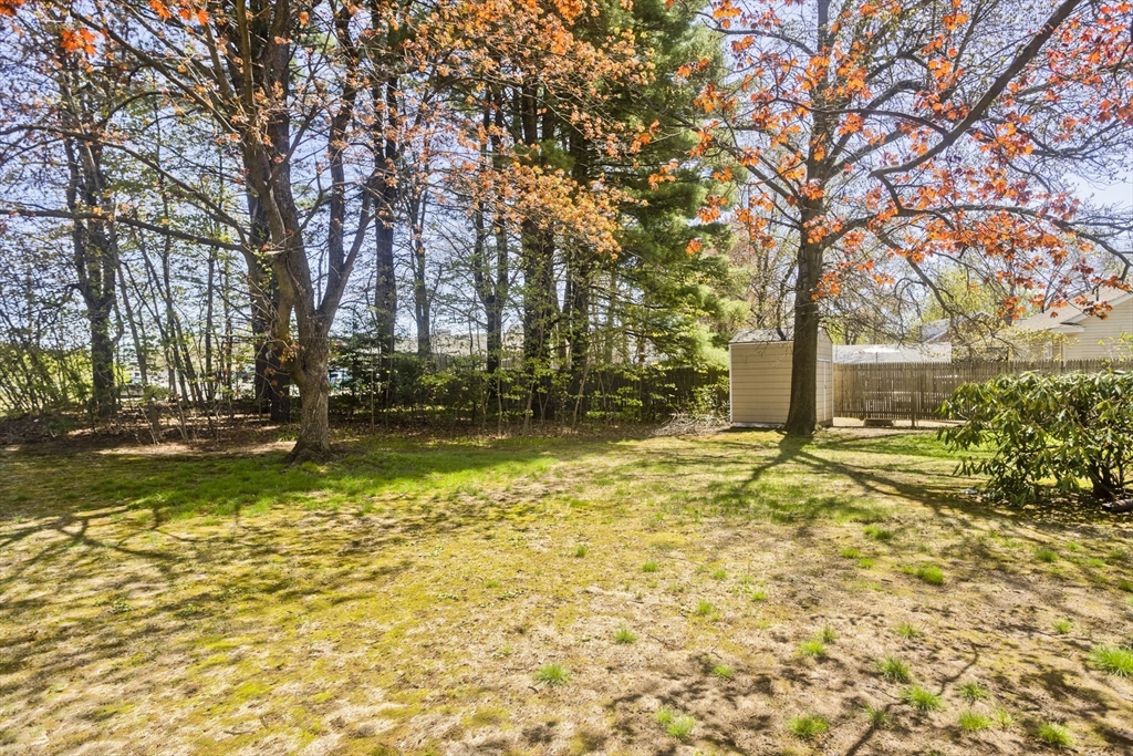 460 James Street Chicopee, MA 01020 - Photo 34 of 34 a view of yard with tree