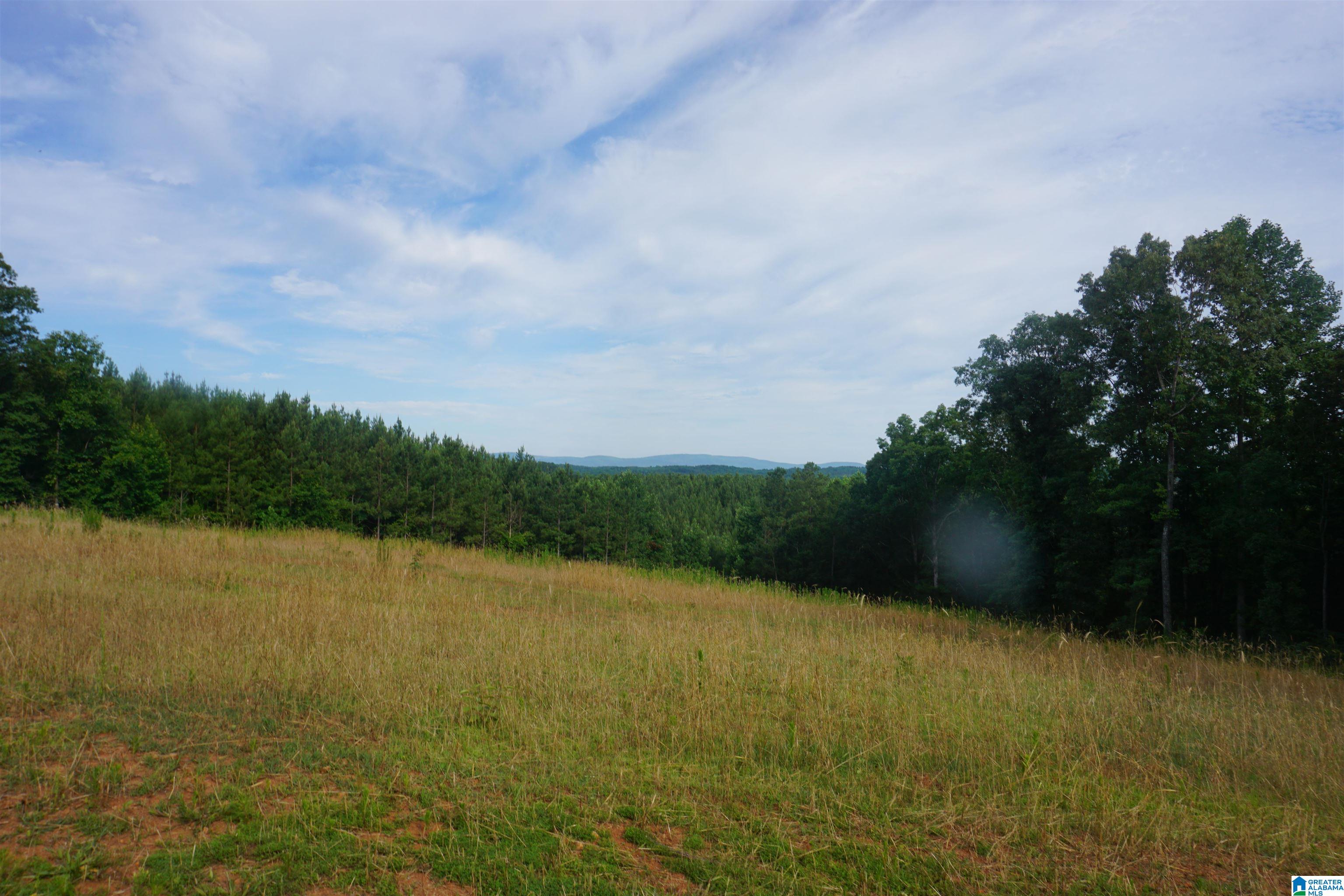 947 Mt Moriah School Road Delta, AL 36258 - Photo 18 of 22