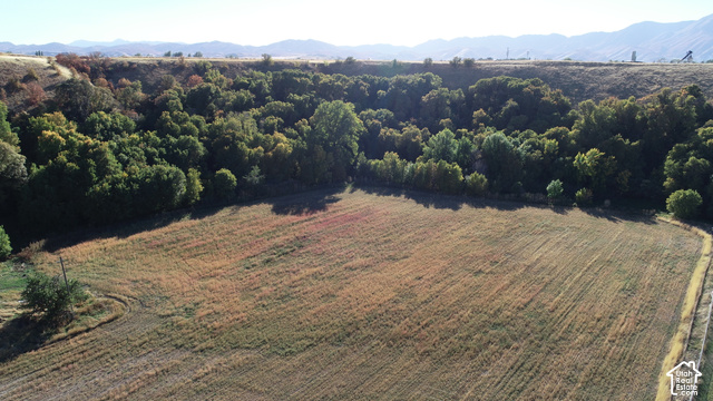 5035 South Hollow Road Logan, UT 84321 - Photo 8 of 19 Expansive rural acreage with mature trees and mountain backdrop
