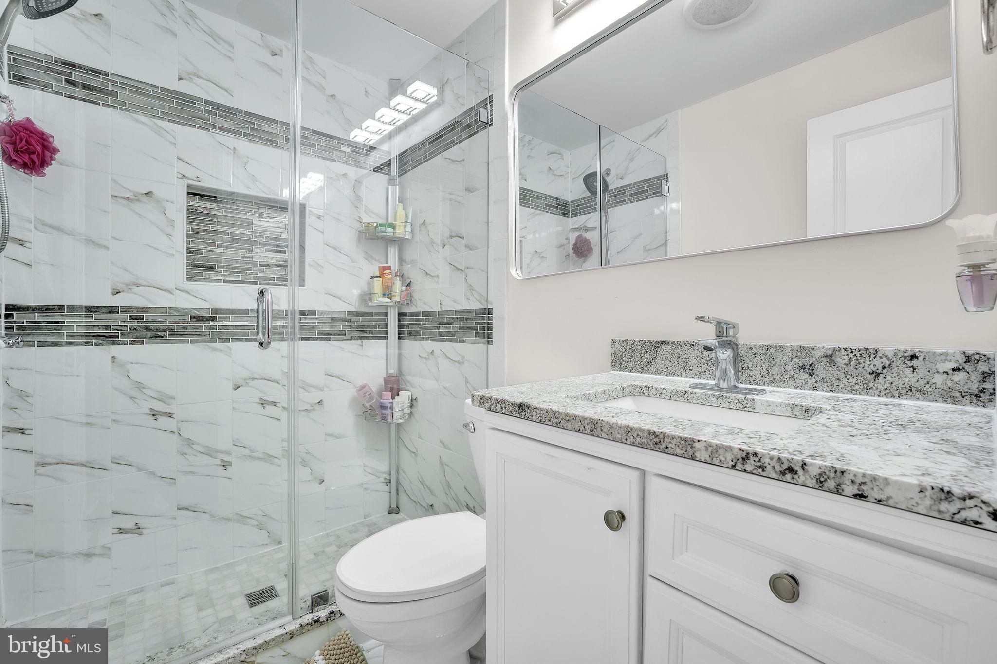 5255 Pumphrey Drive Fairfax, VA 22032 - Photo 23 of 38 a bathroom with a granite countertop sink a toilet and shower