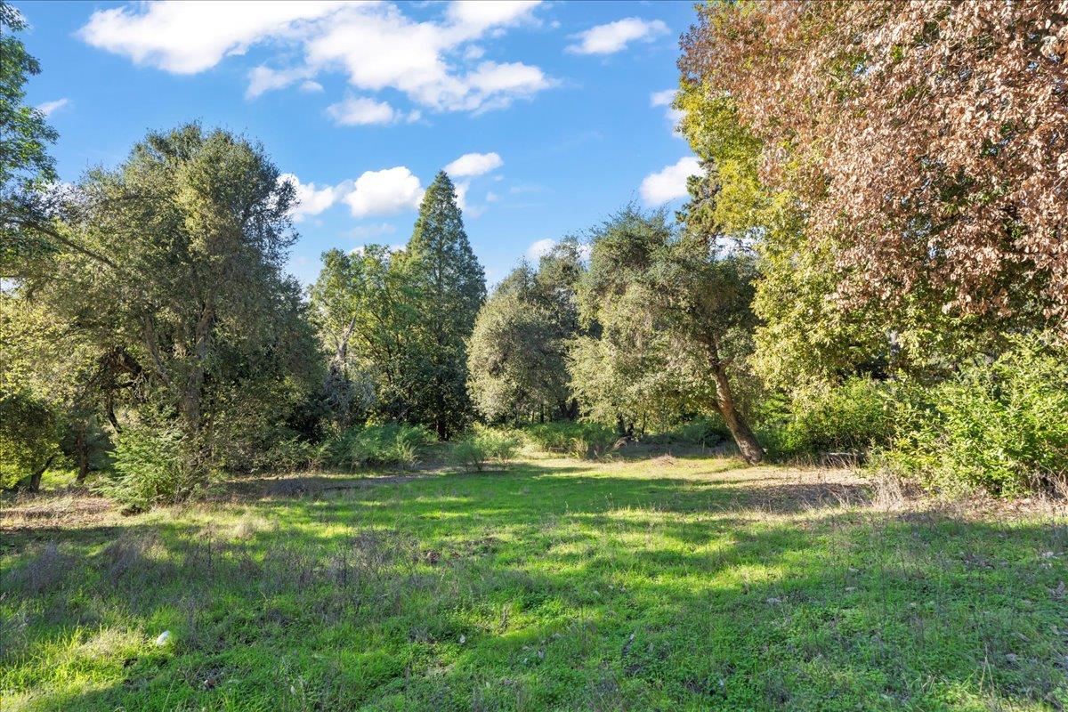15380 Stetson Road Los Gatos, CA 95033 - Photo 11 of 14 a view of outdoor space with trees all around
