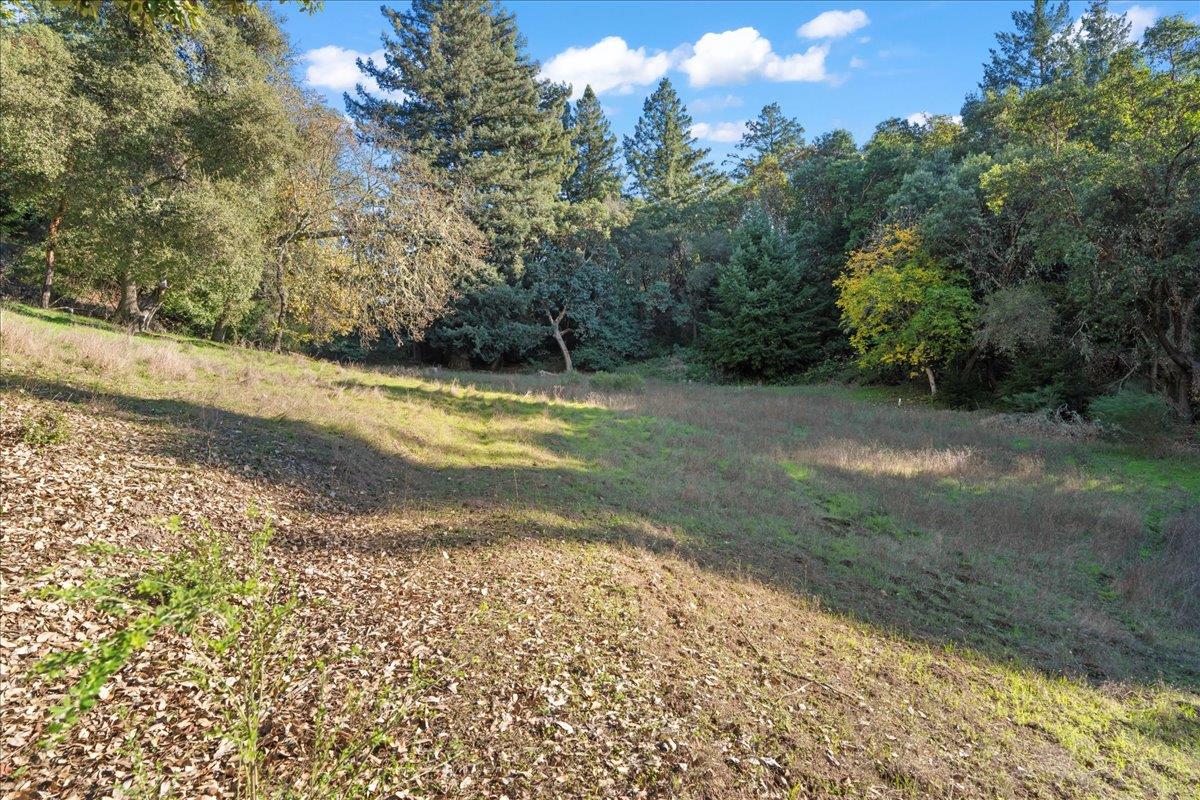 15380 Stetson Road Los Gatos, CA 95033 - Photo 13 of 14 a view of a yard with a house