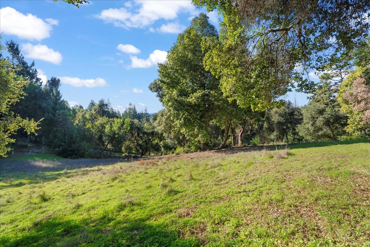 15380 Stetson Road Los Gatos, CA 95033 - Photo 6 of 14 a view of a yard with a tree