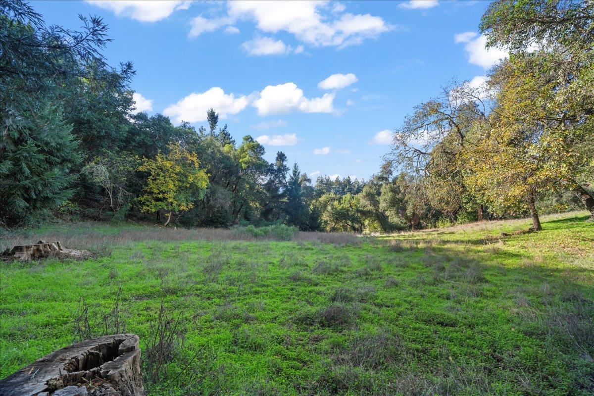 15380 Stetson Road Los Gatos, CA 95033 - Photo 7 of 14 a view of a grassy field with trees