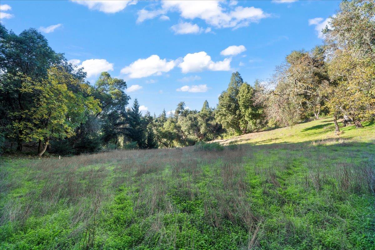 15380 Stetson Road Los Gatos, CA 95033 - Photo 8 of 14 a view of yard with green space