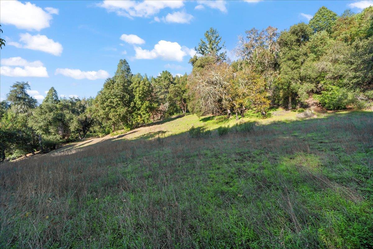 15380 Stetson Road Los Gatos, CA 95033 - Photo 9 of 14 a view of a big yard with lots of green space and mountain view