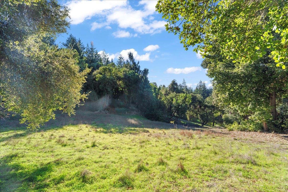 15380 Stetson Road Los Gatos, CA 95033 - Photo 10 of 14 a view of a yard with an trees