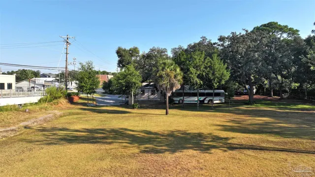 a view of a park with large trees