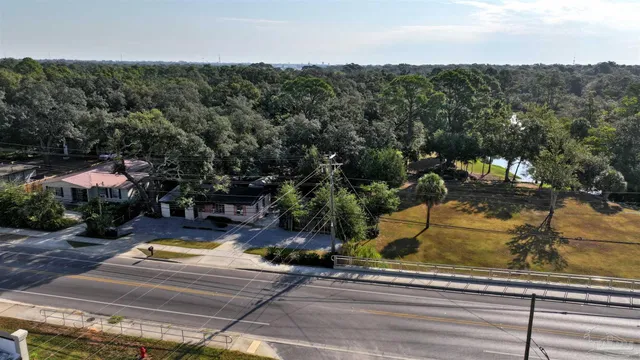 a view of a park with large trees