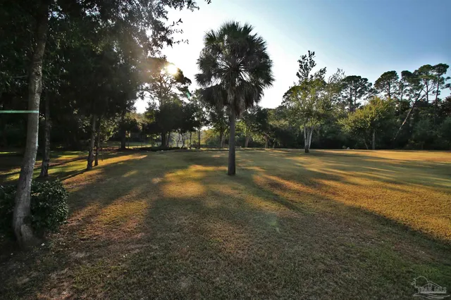 a view of a house with a yard and large tree