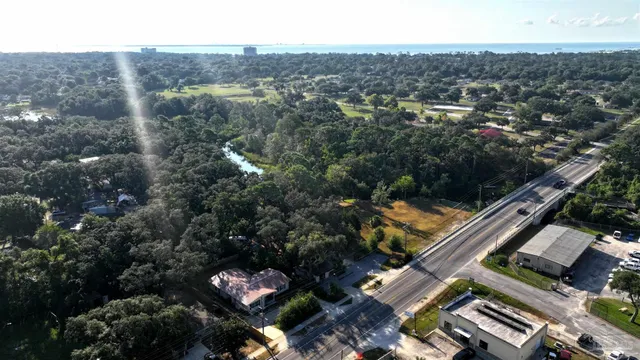 a view of a swimming pool with a yard and plants